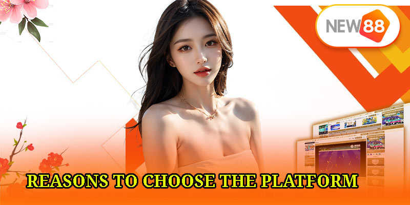 Reasons to Choose the Platform