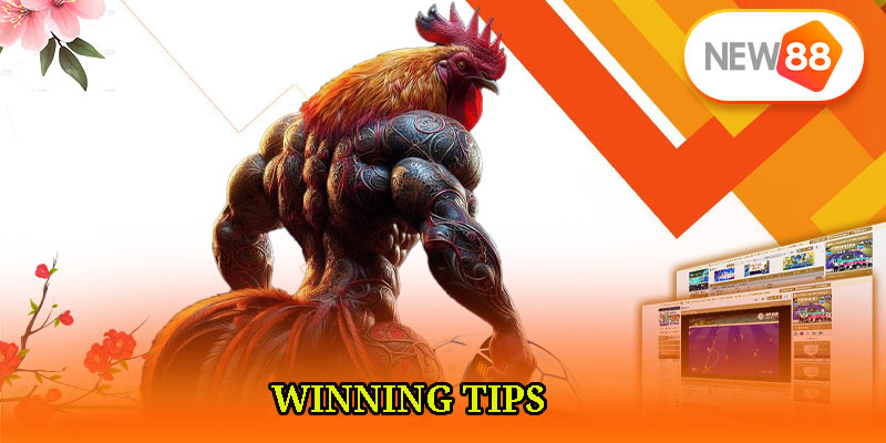 Winning Tips